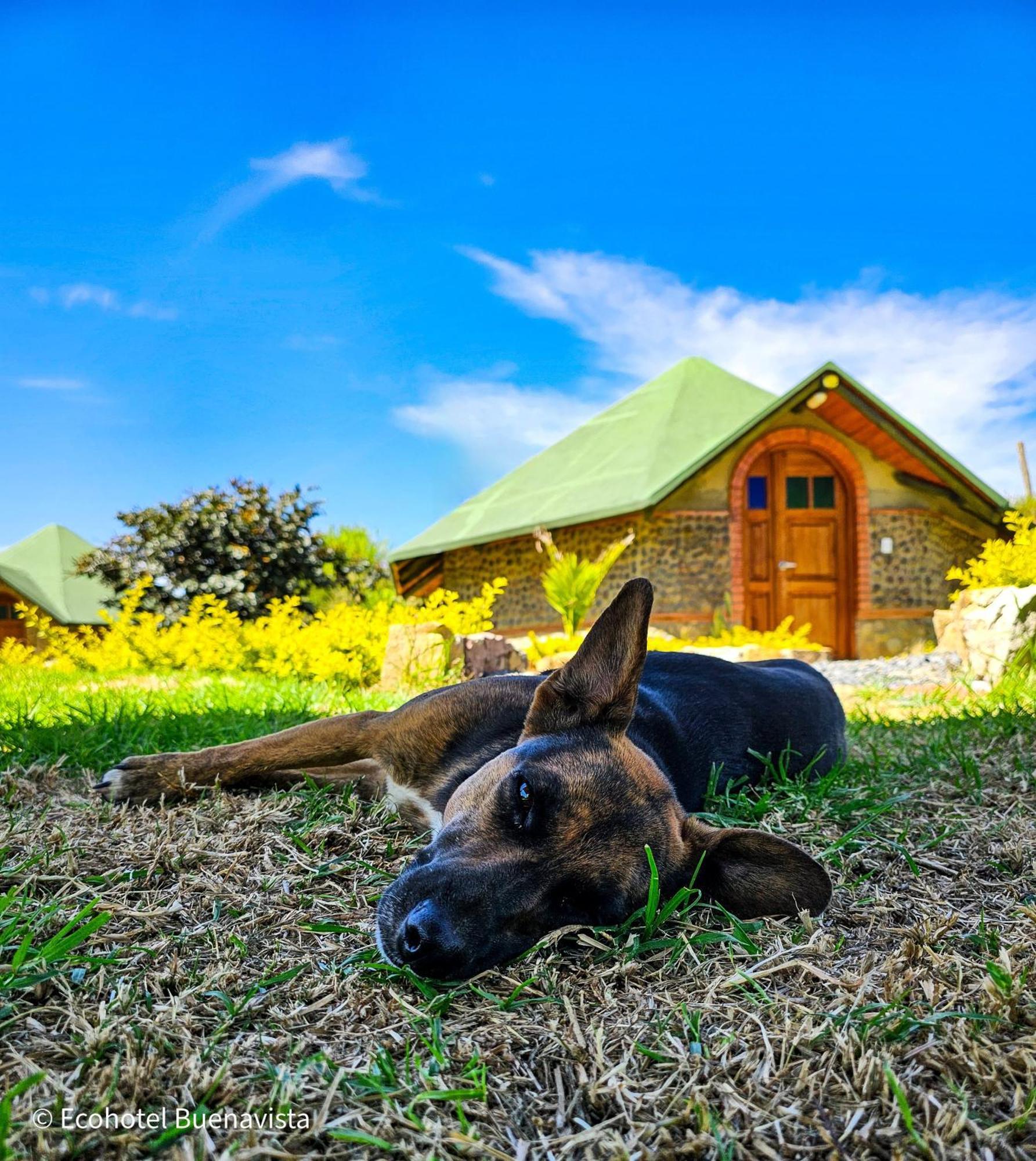 Ecohotel Buenavista Campsite