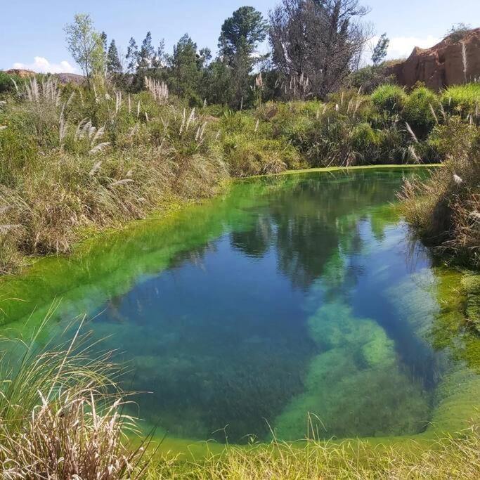 Ecohotel Buenavista